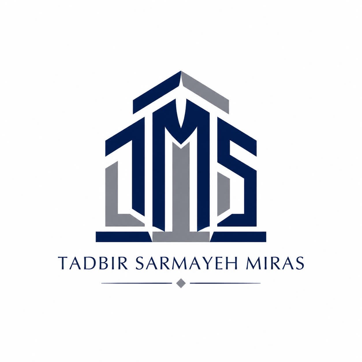 شرکت تدبیر سرمایه میراث